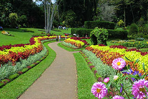 Royal Botanical Gardens in Peradeniya